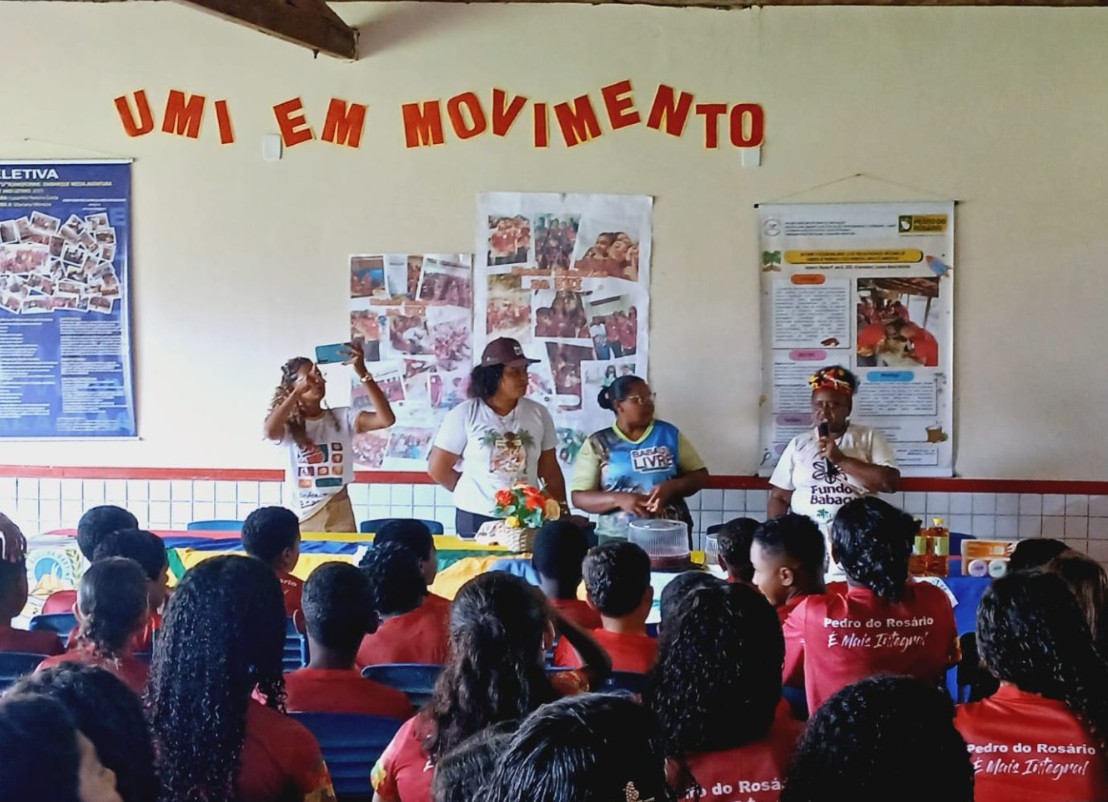Quebradeiras de Coco Babaçu em atividade no Maranhão