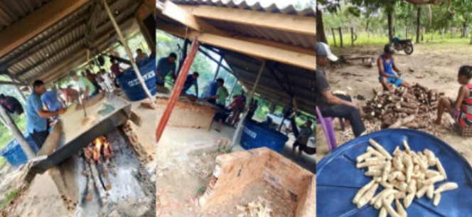 Imagem do Projeto 14