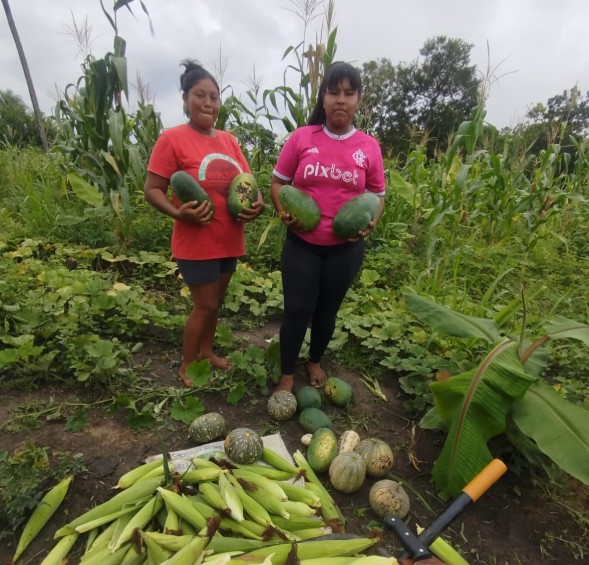 Imagem 3 do projeto Raizes Javaé: Quintais Agroflorestais Wari wari