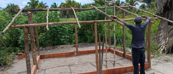 Imagem 3 do projeto Semeando o Futuro, Horta e Avicultura Juvenil